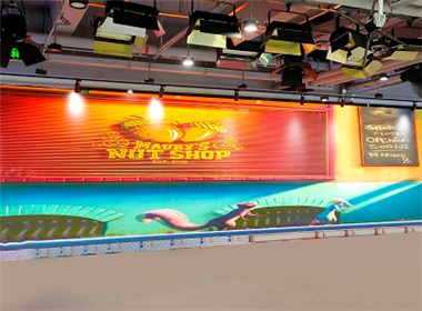 北京新銳創(chuàng)投LED顯示屏項目